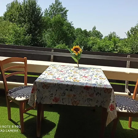 Berghof Haus Rachel Mit Pool Sankt Englmar